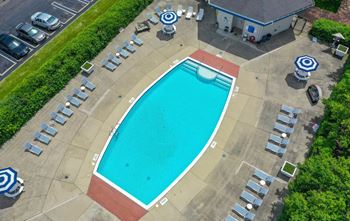Sparkling resort style swimming pool
